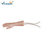 PVC Iv Hand Model 8kgs Medical Training Manikins